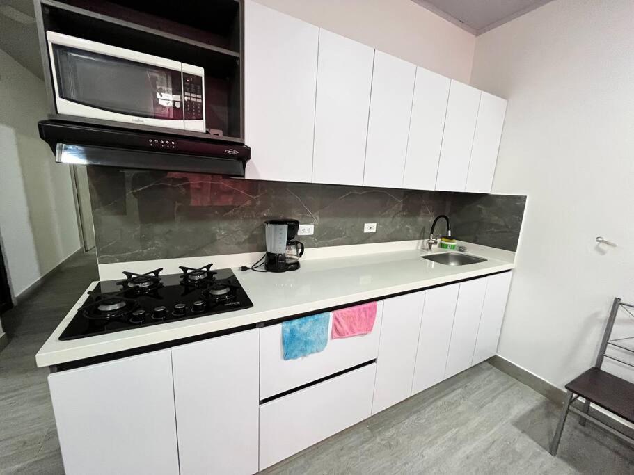 公寓 Moderno Y Comodo 201 *